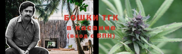 прущие грибы Абинск