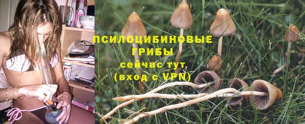 mdpv Россошь