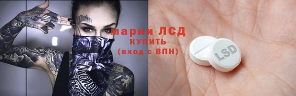прущие грибы Абинск