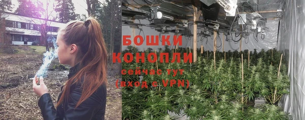 гидропоника Абаза