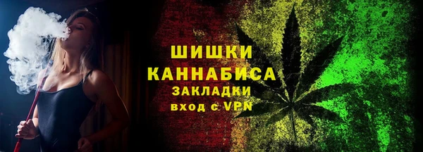 прущие грибы Абинск