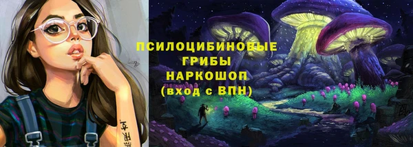гидропоника Абаза