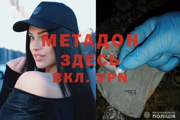прущие грибы Абинск