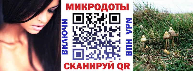 Галлюциногенные грибы Psilocybe  Серафимович 